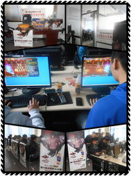 全國格斗大賽省賽首戰(zhàn)場(chǎng)館啟用先進(jìn)網(wǎng)絡(luò)設(shè)備，助力賽事直播與銷售新機(jī)遇